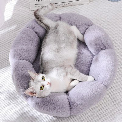 Coussin-chat-doux