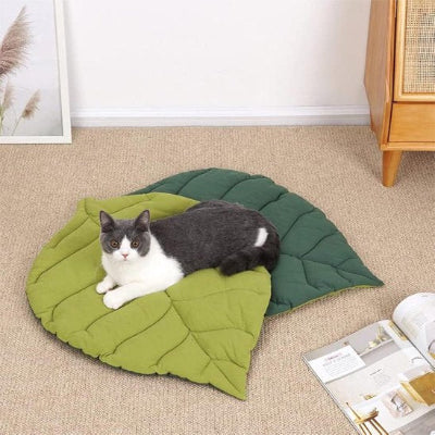 coussin chat pratique
