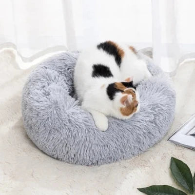 coussin-chat-gris