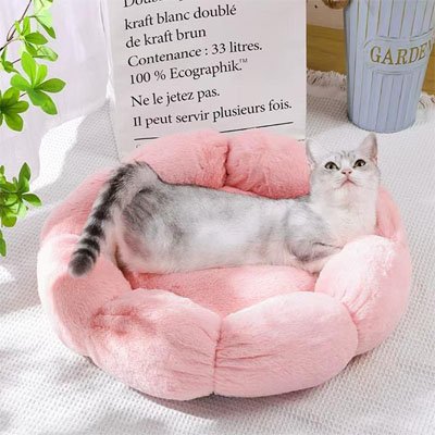 Coussin-chat-parfait