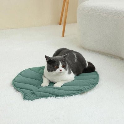 Coussin Chat | Premium Douillet - MON CHAT CHIC