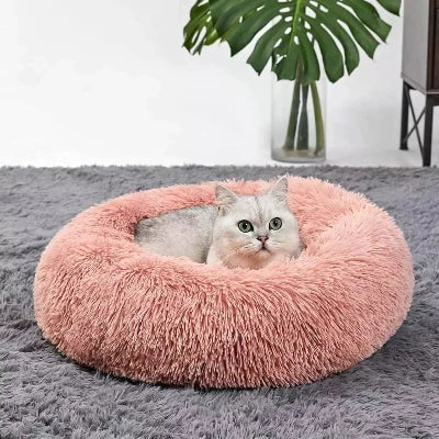 coussin-chat-rose