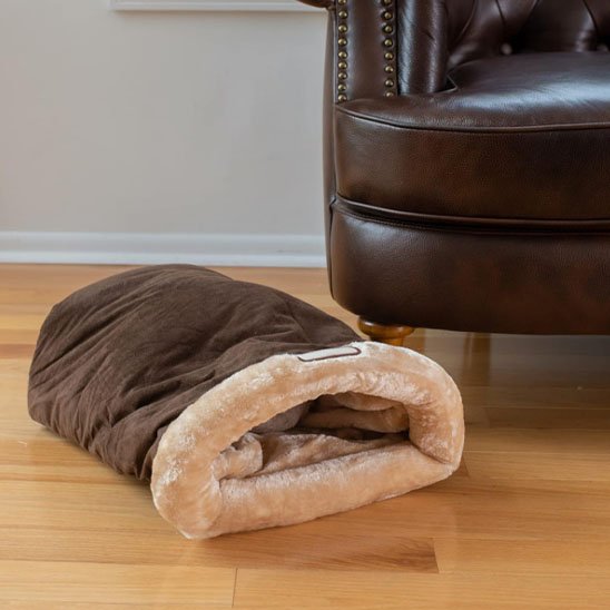 Coussin-chat-sécuritaire