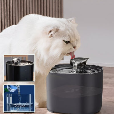 fontaine-à-eau-chat-pour-bien-etre