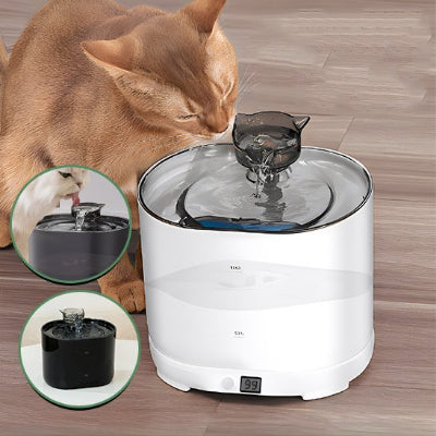 fontaine-à-eau-chat-sublime