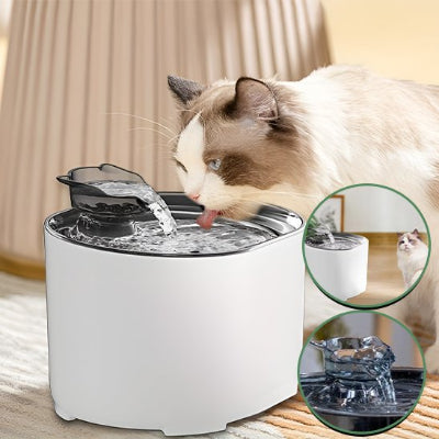 fontaine-à-eau-chat-super-pratique
