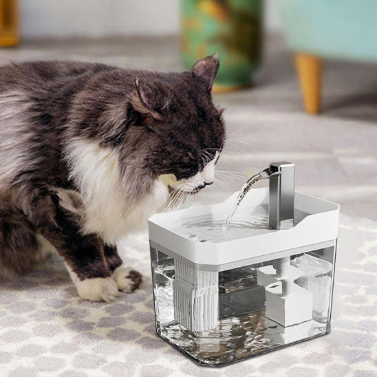 fontaine-a-eau-chat-silencieuse-blanche