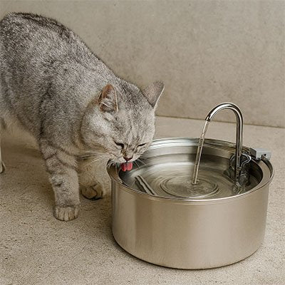 fontaine-a-eau-pour-chat-aidante