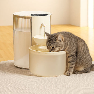 fontaine-a-eau-pour-chat-pratique