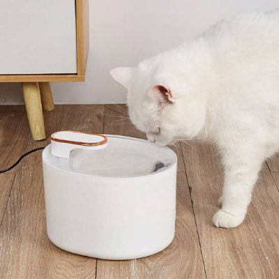 fontaine-chat-super-pratique