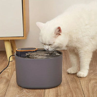fontaine-chat-idéale