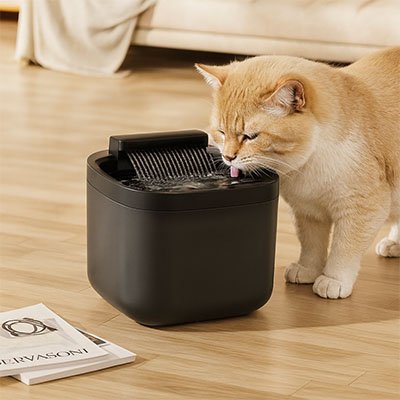 fontaine-eau-chat-superbe