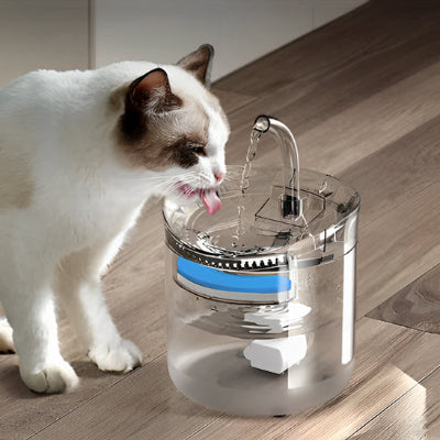 fontaine-eau-chat-pratique