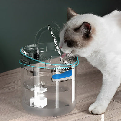 fontaine-eau-chat-parfaite