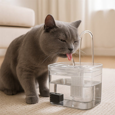 fontaine-eau-chat-polyvalente
