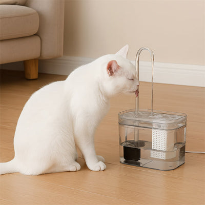 fontaine-eau-chat-multifonctionnelle