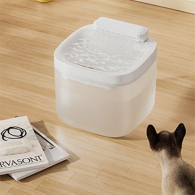 fontaine-eau-chat-pour-le-confort