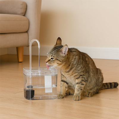 fontaine-eau-chat-confortable