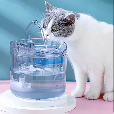 fontaine-eau-chat-impeccable