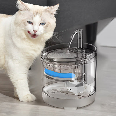 fontaine-eau-chat-idéale