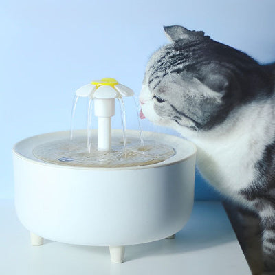 fontaine-pour-chat-aidante