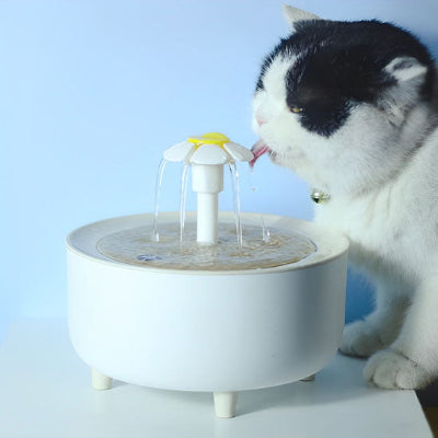 fontaine-pour-chat-parfaite