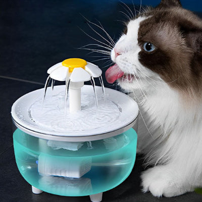 fontaine-pour-chat-idéale