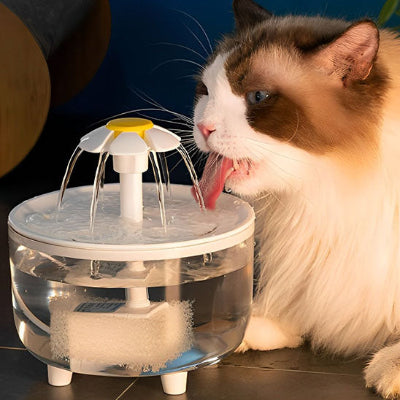 fontaine-pour-chat-exceptionnelle