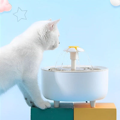 fontaine-pour-chat-belle