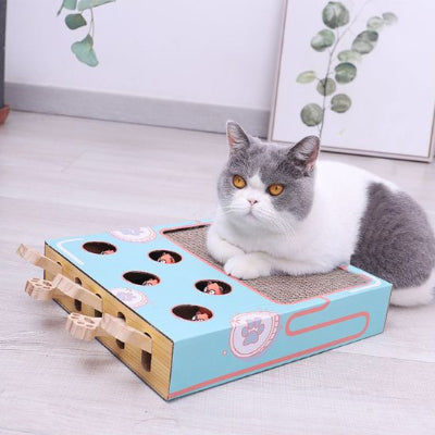 griffoir-à-chat-superbe