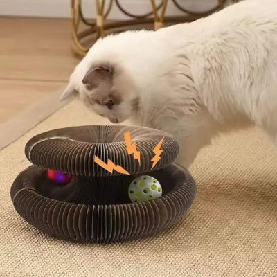 griffoir-chat-carton-amusant