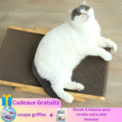 griffoir-chat-mignon