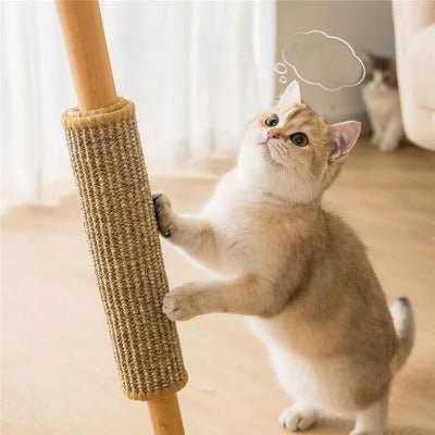 Griffoir-chat-super-pratique