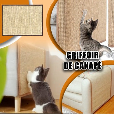 griffoir-chat-solide