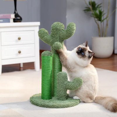 Griffoir-pour-chat - pratique