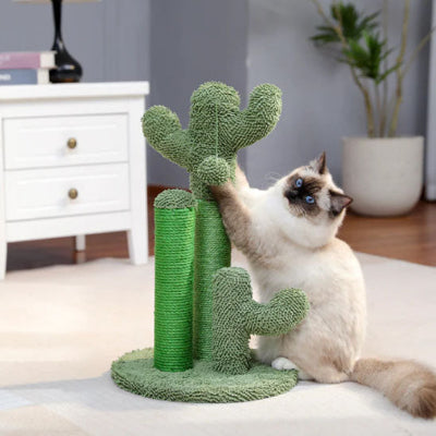 griffoir-pour-chat-idéal