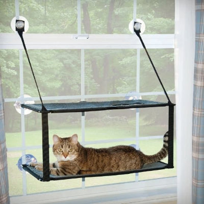 hamac-chat-fenetre-pratique