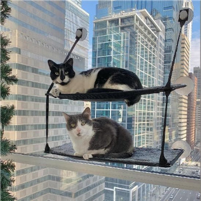 hamac-chat-fenetre-polyvalent