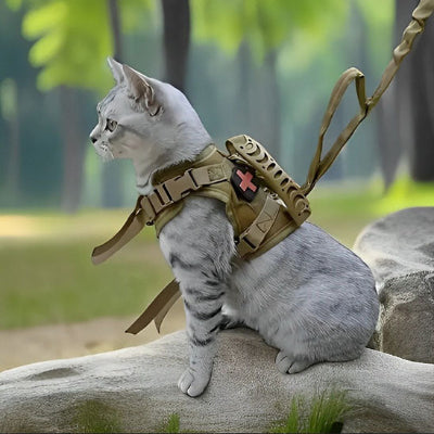 harais-pour-chat-idéal