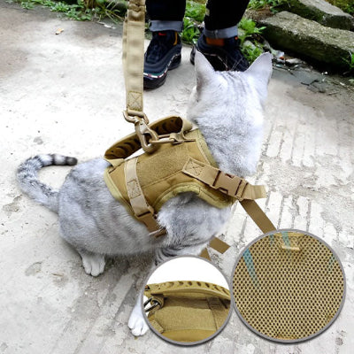 harnais-pour-chat-pratique