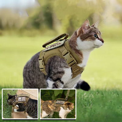 harnais-pour-chat-sécuritaire