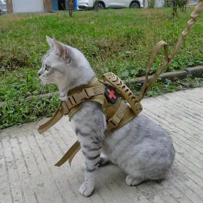harnais-pour-chat-magnifique