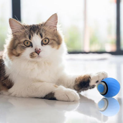 Jouet intelligent pour chat stimulant