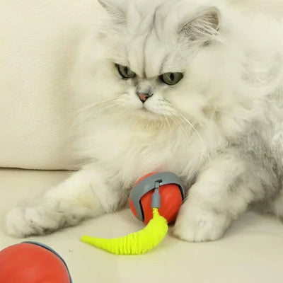 Jouet intelligent pour chat amusant