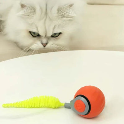 Jouet intelligent pour chat apaisant