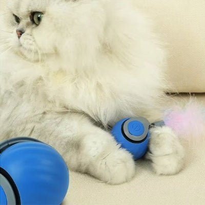 Jouet intelligent pour chat | Stimulant - MON CHAT CHIC