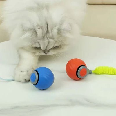 Jouet intelligent pour chat | Stimulant - MON CHAT CHIC
