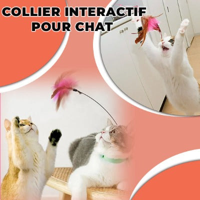 jouet-pour-chat-interactif