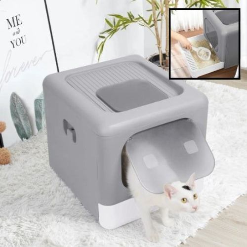 litière-pour-chat-solide
