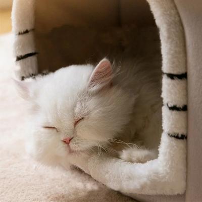 niche-pour-chat-aidnte